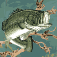 Progress Report for July 7th, 2014